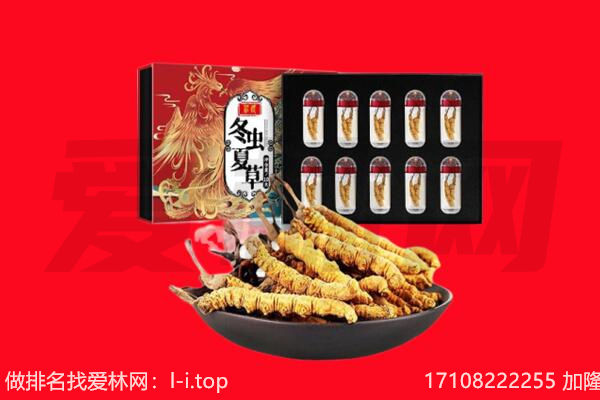 梅州五华县回收虫草.jpg